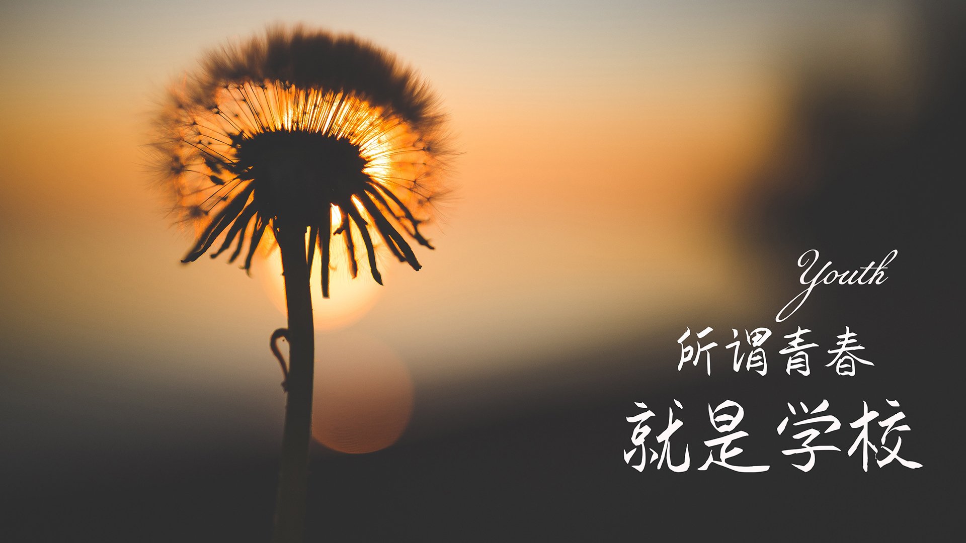 葡萄牙男足在预选赛中仅获3分，排名第四，葡萄牙男足主场