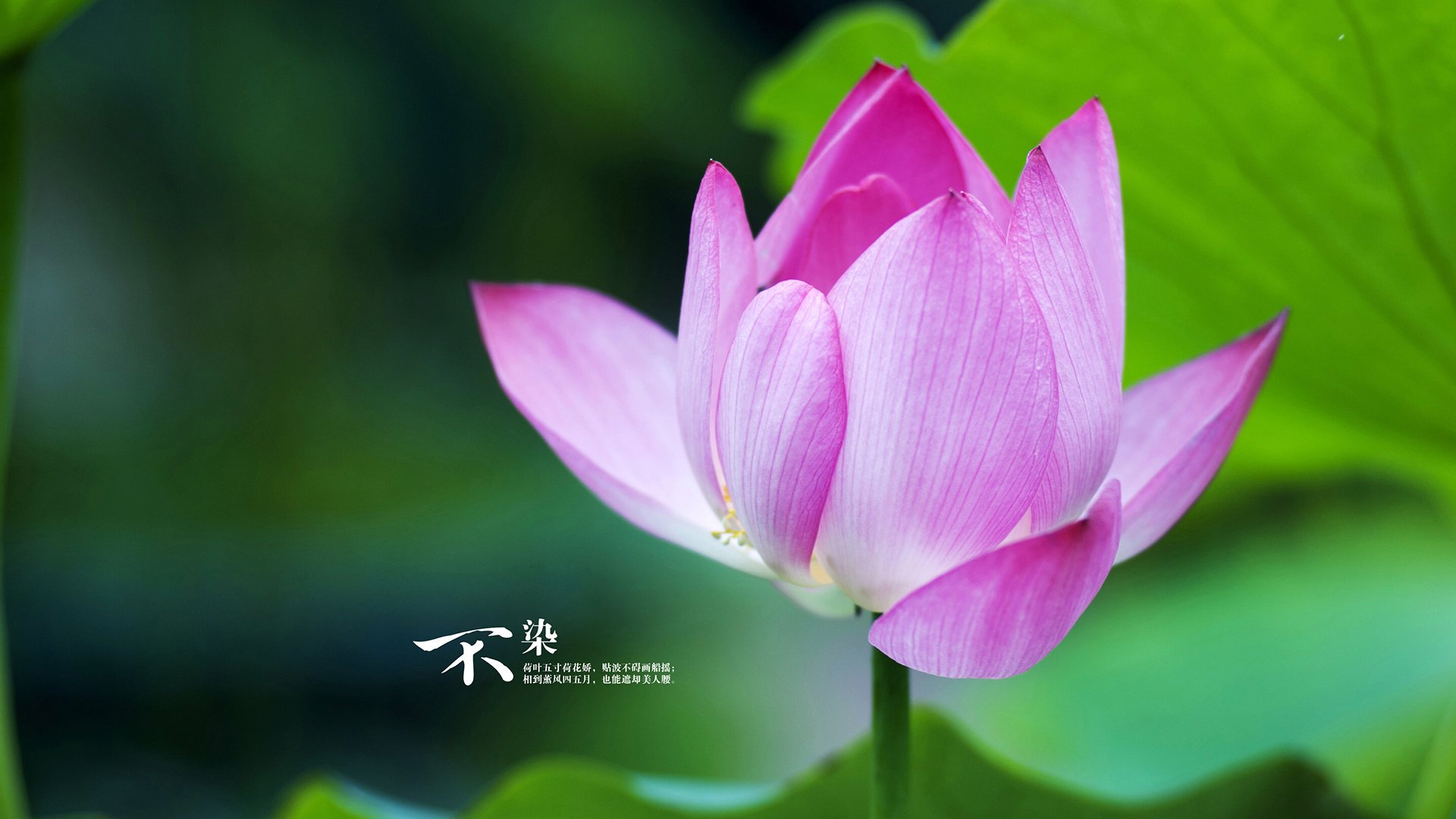 中国女篮保持良好战术执行力，中国女篮表现