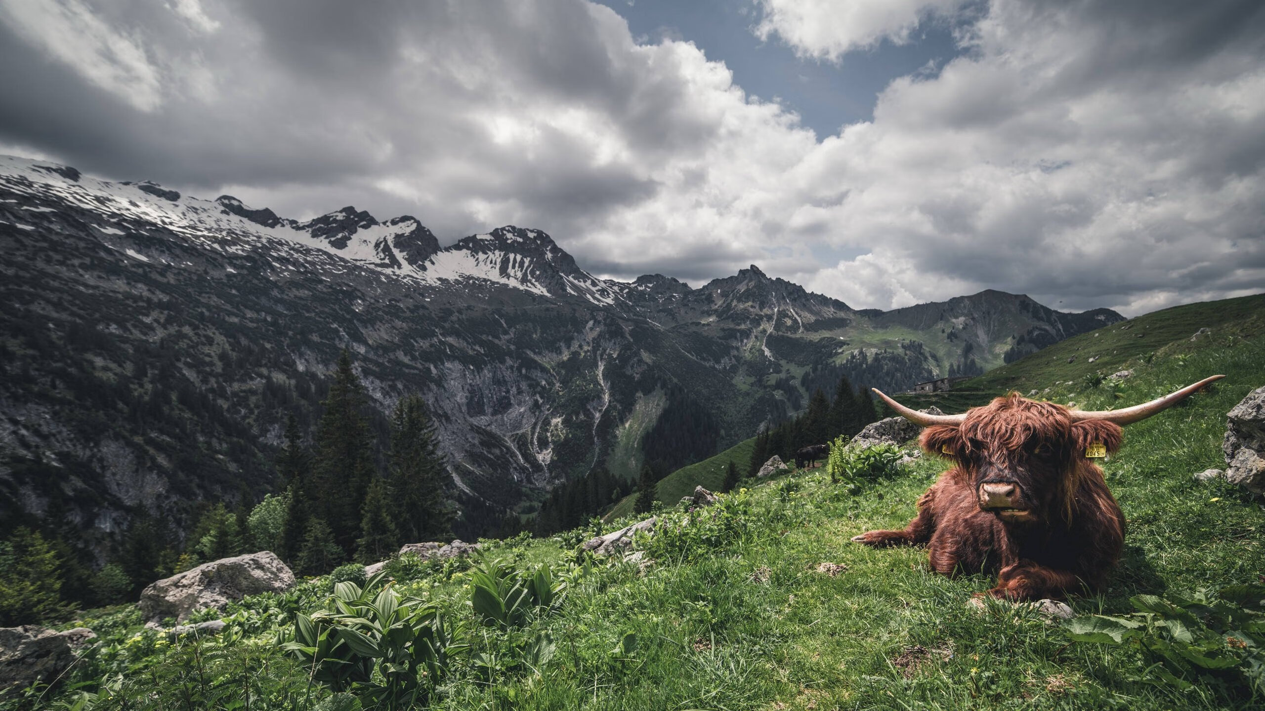 AIYOUXI.COM-联赛中期战术打法趋同是否降低技术流球队胜率