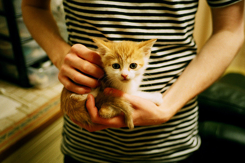 阵型下跑位空间利用差异对执行效率的影响