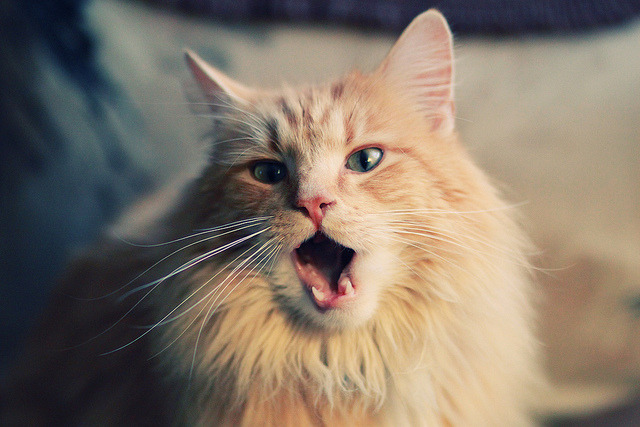 中国足球青训教练员培训课程内容不断丰富，做足球青训教练的行业怎么样