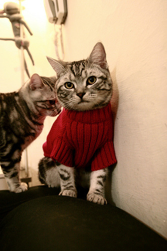 爱游戏体育官方网站-职业联赛恢复稳定运营吸引更多企业重新投资，什么叫职业联赛