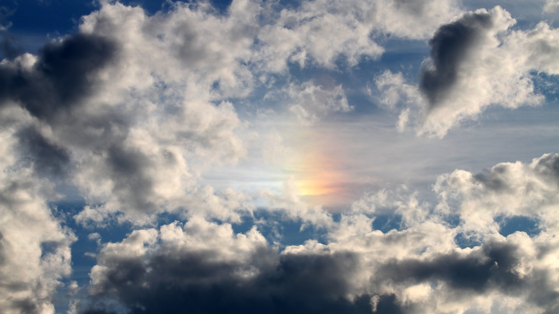 职业联赛设立新人培养计划助力青年球员成长，进入职业联赛需要什么条件