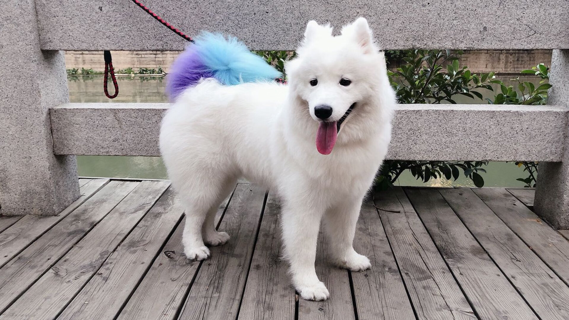 爱游戏app下载-羽毛球场馆预订系统接入本地生活平台，羽毛球馆场地预约系统