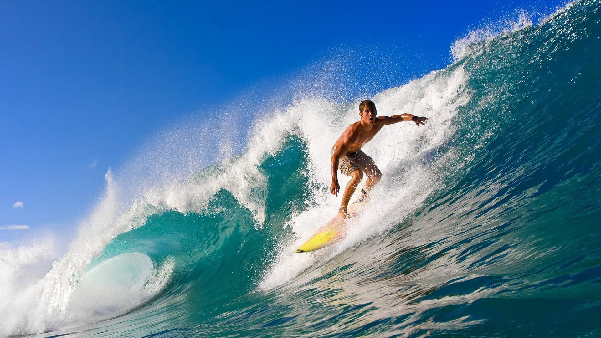 伊朗骑手卡尔·阿里·阿尔达比在巴黎奥运会后成为马术协会主席，推动马术运动发展。